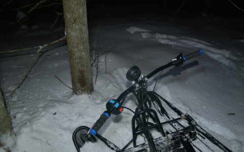 В Коми мужчина на мотобуксировщике протаранил дерево головой