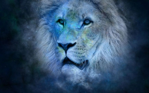 Гороскоп на 9 января: Львы посмотрят на себя «с изнанки», а Девам придется говорить прямо