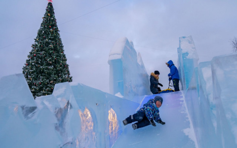 Жители Коми ополчились на новогоднюю елку с ослепительной гирляндой