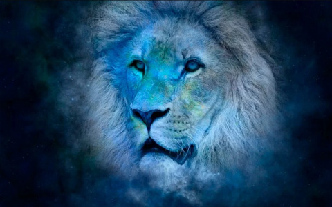 Гороскоп на 12 января: Львов ждут романтические отношения, а Водолеев - травмы