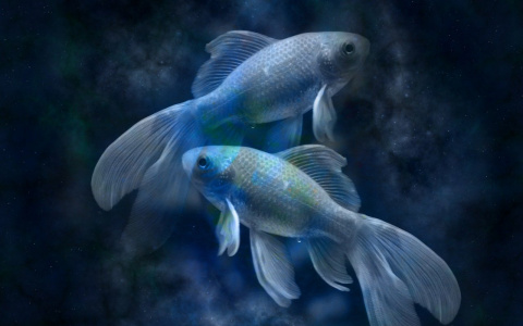 Гороскоп на 13 января: Тельцам не хватит уверенности, а Рыбам понадобится помощь