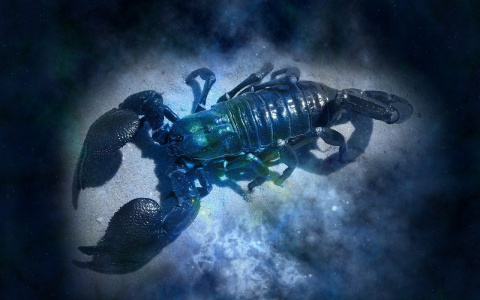 Гороскоп на 23 января: Раки столкнутся с равнодушием, а Скорпионов окружит мрачная атмосфера