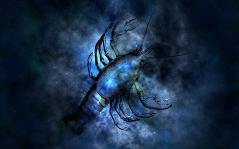 Гороскоп на 29 января: Раков жизнь поставит перед выбором, а Козероги выйдут из себя