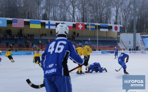 В Сыктывкаре на развитие спорта и физкультуры потратят 30 миллионов рублей