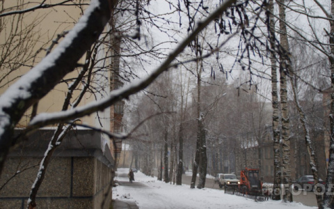 Погода в Сыктывкаре на 4 февраля: тепло, как весной