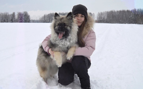 Фото дня в Сыктывкаре: лохматый восторг для прохожих