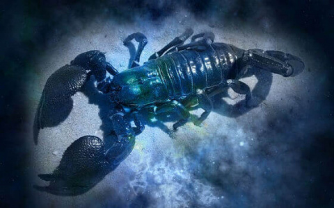 Гороскоп на 5 февраля: Близнецов ждут ссоры и обиды, а Скорпионов - нестабильность в отношениях