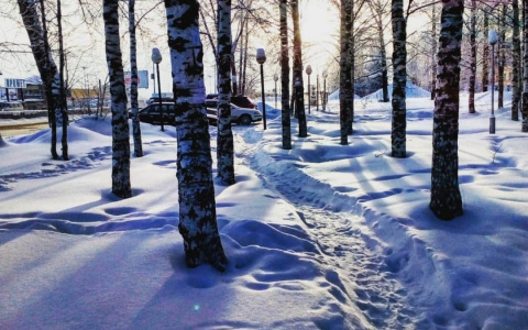 Фото дня в Сыктывкаре: морозная безмятежность