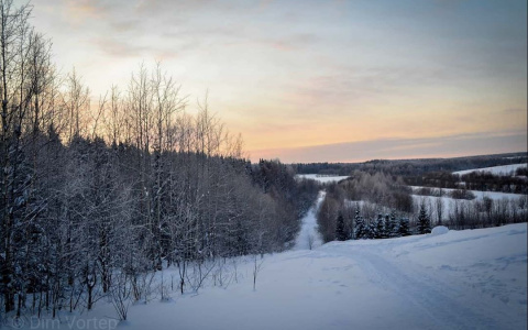 Фото дня в Сыктывкаре: прогулка по зимним просторам