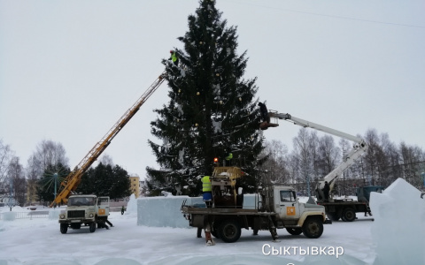В Сыктывкаре убирают главную елку города