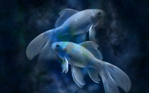 Гороскоп на 12 февраля: Близнецам захочется большего, а Рыбам грозит риск