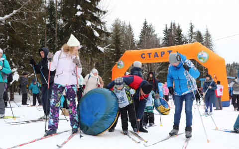 «Сыктывкарец - значит лыжник»: как прошла «Лыжня России» в столице Коми (фото)