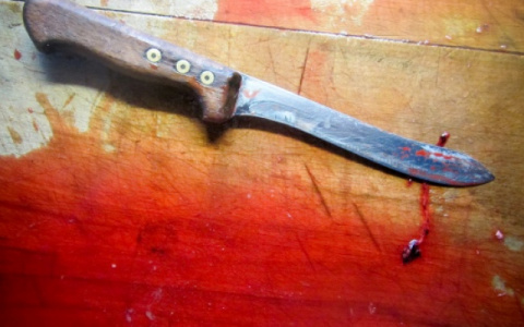 В Коми из-за бездействия участкового подростку пришлось защищать мать с ножом в руках