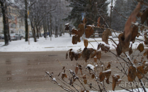 Погода в Сыктывкаре на 18 февраля: город завалит мокрым снегом