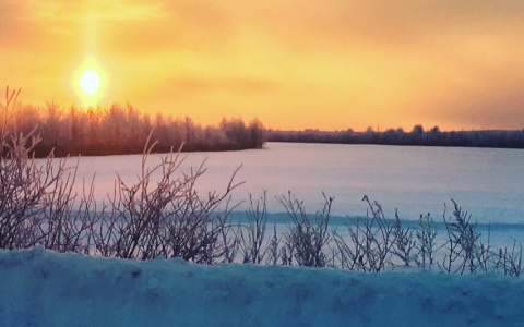 Фото дня в Сыктывкаре: природа ждет своего часа под снежным покрывалом