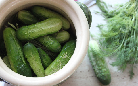 Диетологи назвали 10 лучших продуктов для сжигания жира