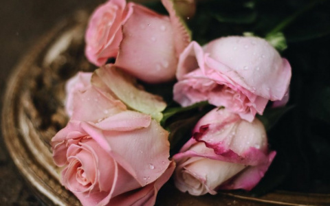 Организация похорон - что необходимо знать про ритуальные услуги?