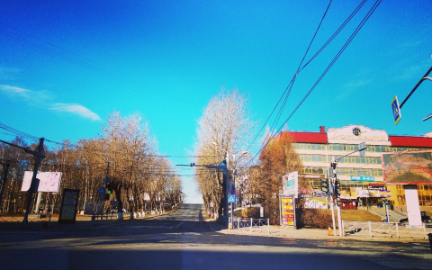 Фото дня в Сыктывкаре: воспоминания о ярком лете и теплой осени