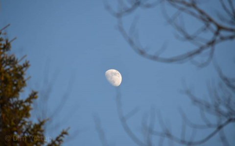 Фото дня от сыктывкарца: загадочный свет луны в сумеречном небе