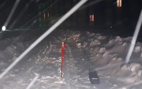 Пьяный житель Коми на снегоходе сбил ребенка и уехал