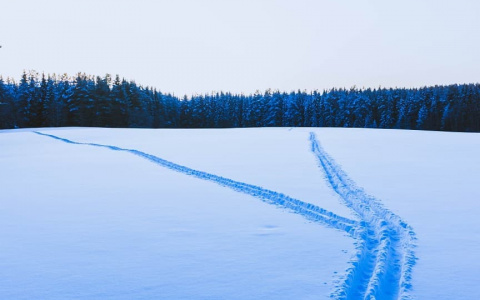 Фото дня в Сыктывкаре: холодные оттенки уходящей зимы