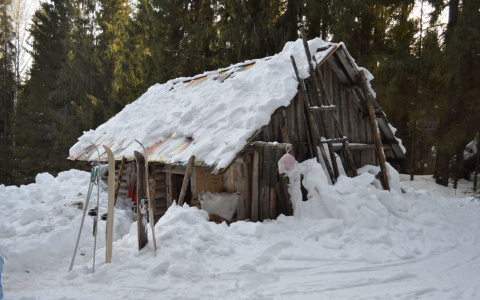 В Коми нашли осужденного, который скрылся и стал отшельником