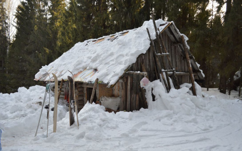 Итоги недели в Коми: секреты отшельника, звездный скандал и смерть на ровном месте