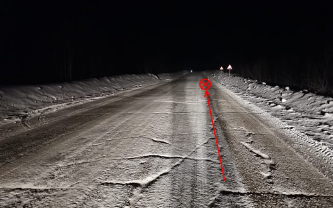 В Коми «Фольксваген» насмерть сбил женщину, которая стояла на проезжей части