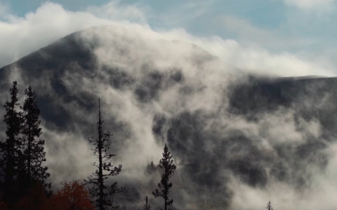 Жители Коми сняли завораживающий 20-минутный фильм о национальном парке (видео)