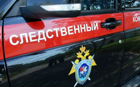 В коми поселке погибла 13-летняя девочка