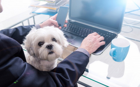 Tele2 начислит гигабайты тем, кто сидит дома