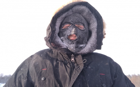 В конкурсе «Сидим дома» появилось три новых участника (фото)
