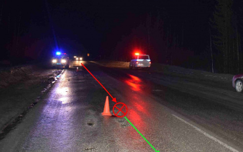 В Коми мужчина шел по проезжей части ночью и попал под колеса