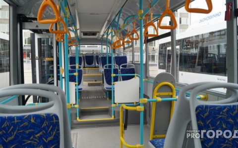 Сыктывкарские волонтеры смогут ездить в автобусах бесплатно