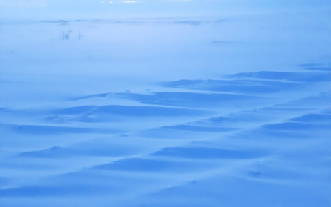 Фото дня в Коми: бескрайняя снежная пустыня Заполярья