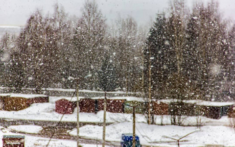 Погода в Сыктывкаре на 17 апреля: мокрый снегопад с дождем и порывистый ветер