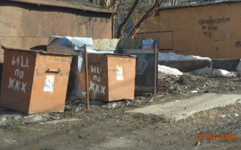 В Сыктывкаре проведут генеральную уборку города