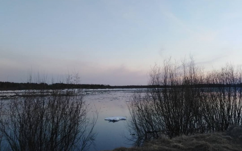 Фото дня в Сыктывкаре: тихая водная гладь под вечерним небом