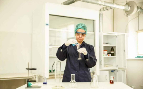 Пять этапов проведения СОУТ в 2020 году