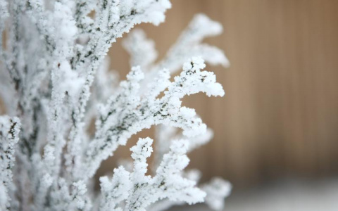 Погода в Сыктывкаре на 25 апреля: чуть теплее и небольшой снегопад