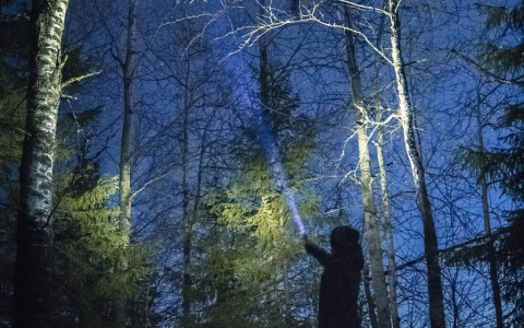 Фото дня в Сыктывкаре: завораживающие цвета ночи