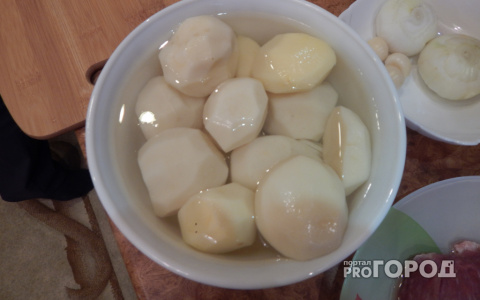 Малообеспеченным жителям Коми выдадут земельные участки под картошку