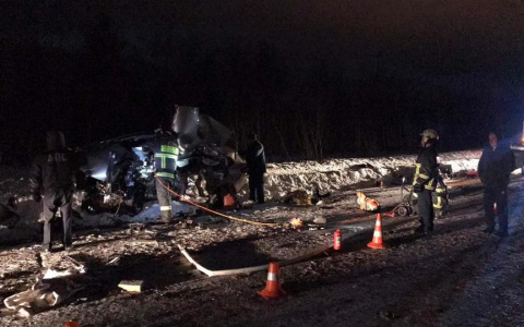 Девочек, которые потеряли родителей в жутком ДТП в Коми, заберут бабушка и дедушка