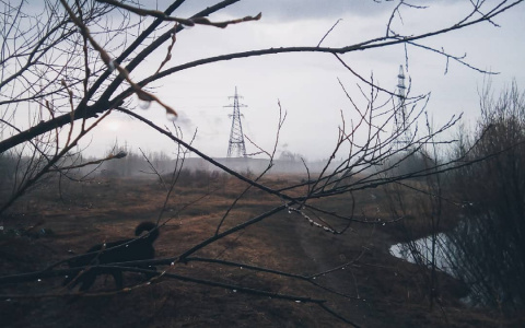 Фото дня в Сыктывкаре: тайны густых туманов