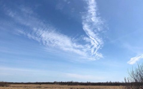 Фото дня в Сыктывкаре: облачная птица над бескрайними просторами