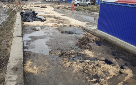 В Сыктывкаре заметили вытекающую из-под земли «нефть» (фото)