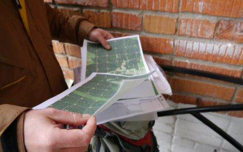 Поиски девушки с татуировкой волка в Сыктывкаре завершились