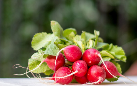 Диетолог назвала низкокалорийные продукты, которые укрепят иммунитет