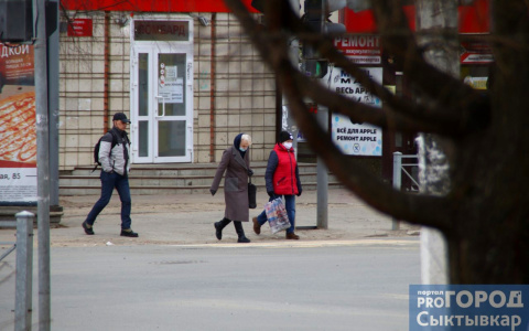 В Сыктывкаре за сутки выздоровели 30 пациентов с COVID-19