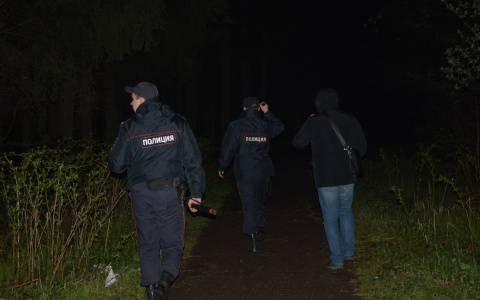 Сыктывкарец ограбил женщину на 100 рублей и купил выпить